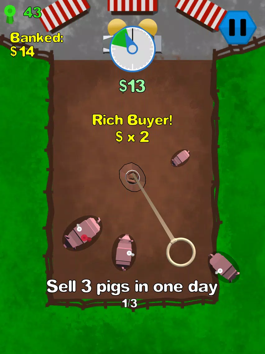 Big Pig Ranch iPad Screenshots