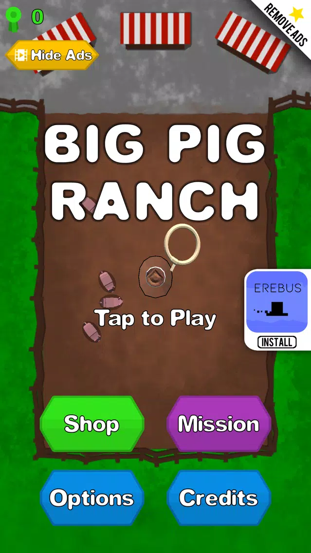 Big Pig Ranch Screenshots