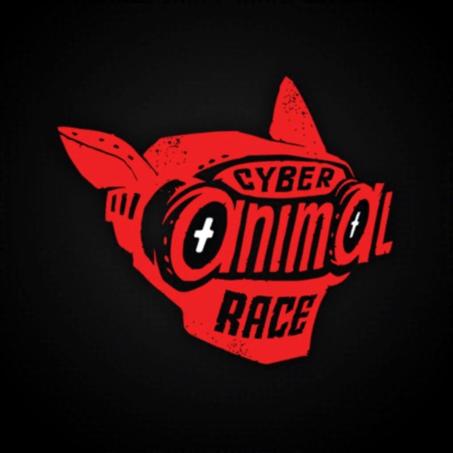 Cyber Virtual Race Cyber Virtual Race