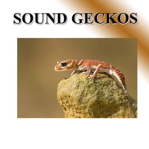 Gecko sweet voice