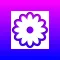 Flowers for Messages
