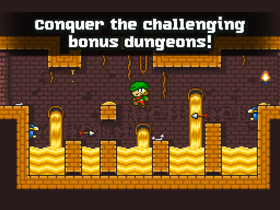 Super Dangerous Dungeons iPad  Ekran Görüntüleri