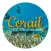 Corail