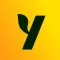 Yuzu - for the Asian community