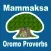 Oromo Proverbs - Mammaaksa Afaan Oromoo