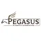 Pegasus