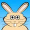 Platform Hopper - Endless Rabbit Jump Reflex Game