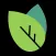 Sprout App