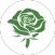 AP Flowers