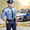Border Patrol Police Mafia 3d