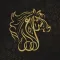 Al Shiraa Arabians