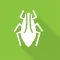 Aphid Advisor