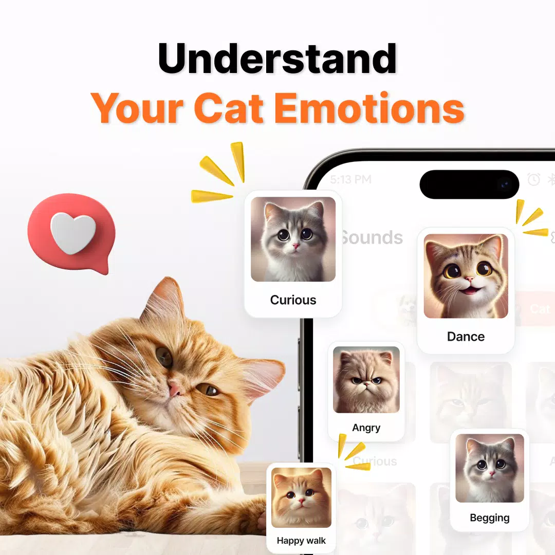 Human to Cat Translator Screenshots