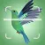 Sound Bird Picture Identifier