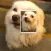 Recognize Me Mobile