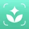 iPlant - AI Plant Identifier
