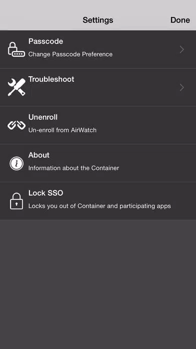 AirWatch Container Screenshots