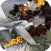 Combat Warplanes