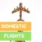 Domestic Flight booking online -Cheap flights fare