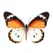 Fun Insect Stickers!