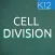 Process of Cell Division