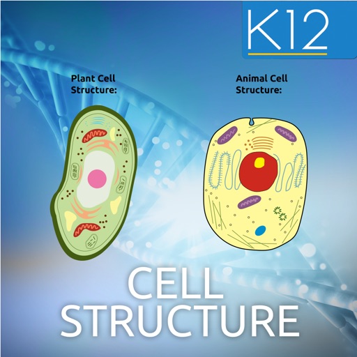 Biology Cell Structure Biology Cell Structure