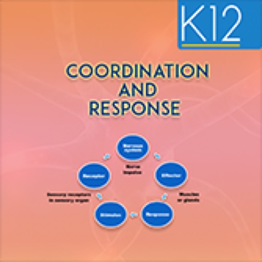 Coordination and Response Coordination and Response
