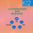 Coordination and Response