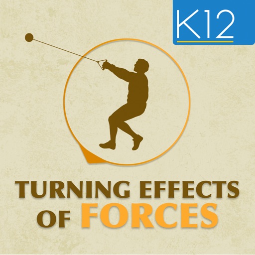 Turning Effects of Forces Turning Effects of Forces