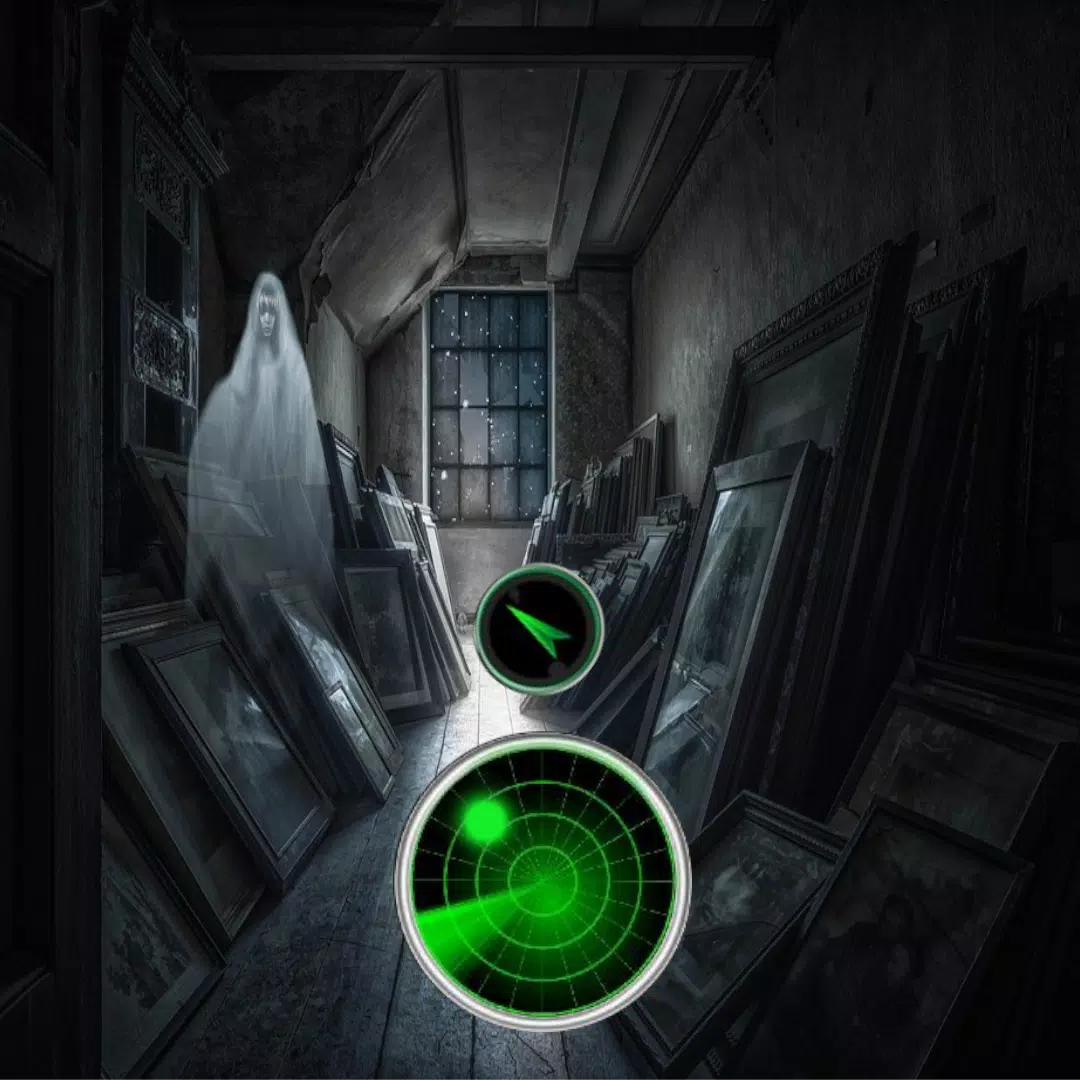 Ghost detector EMF Screenshots