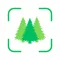 Tree Identifier: AI Scanner
