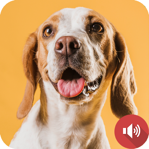 Barking Dog Sounds Barking Dog Sounds