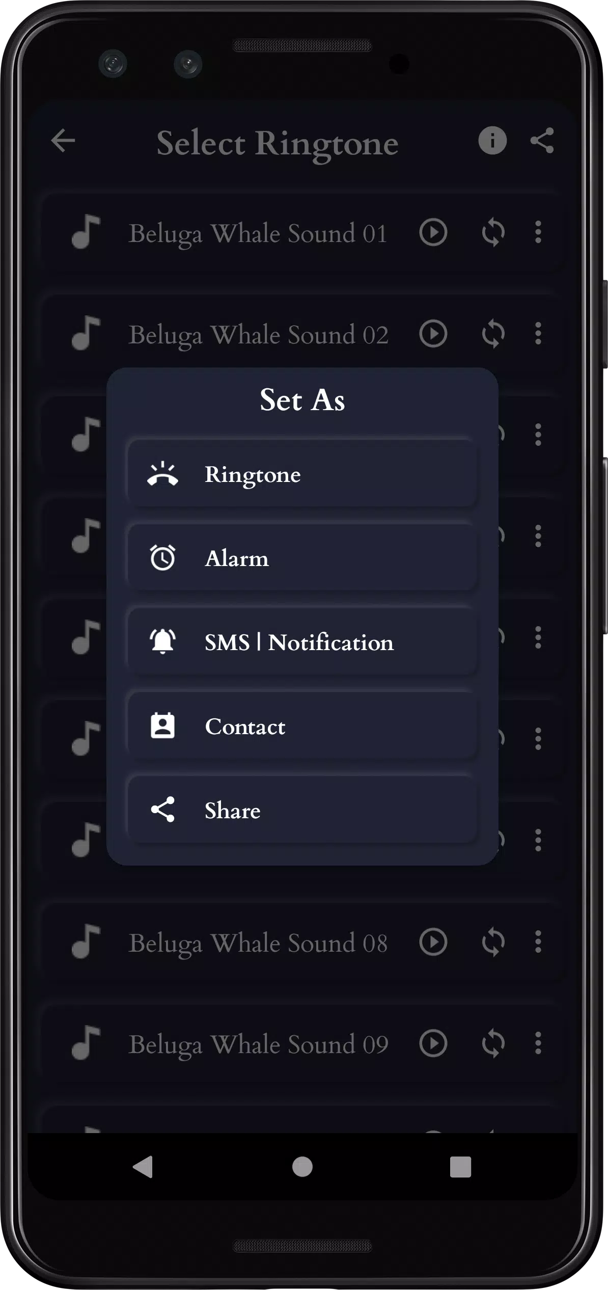 Beluga Whale Sounds Screenshots