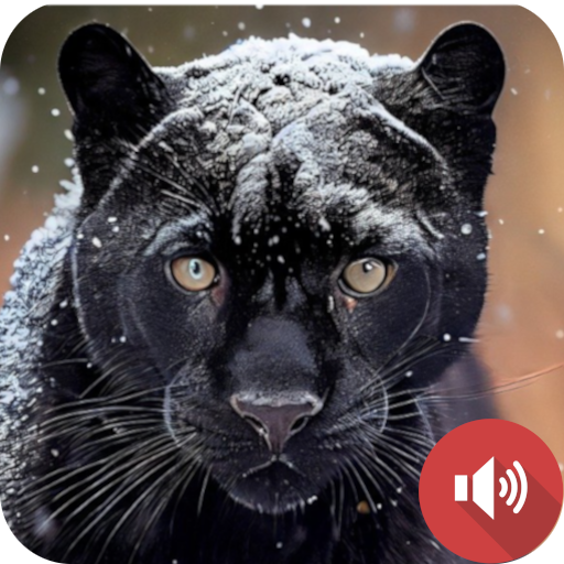 Black Panther Sounds