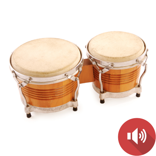 Bongo Drum Sounds