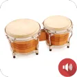 Bongo Drum Sounds