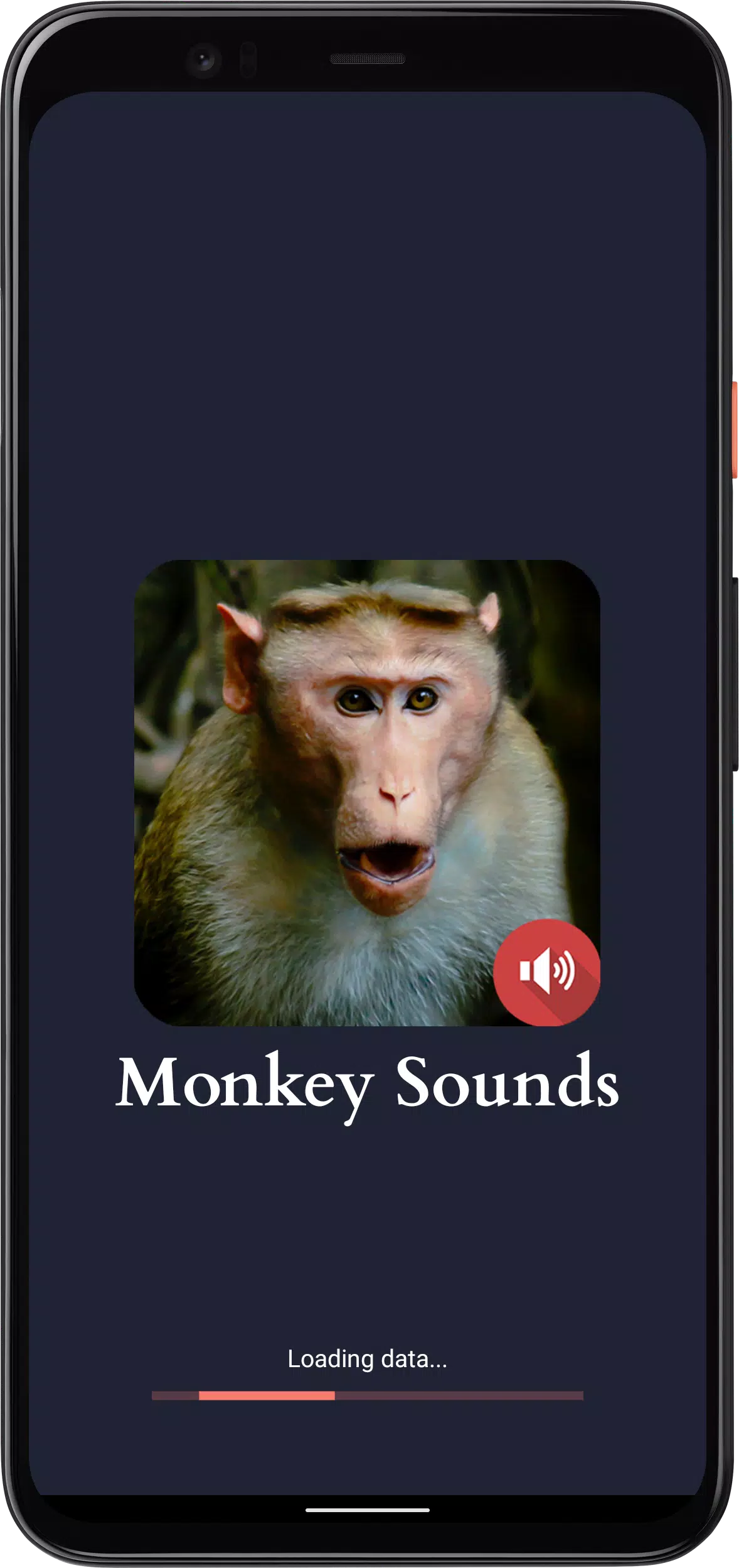 Monkey Sounds Screenshots