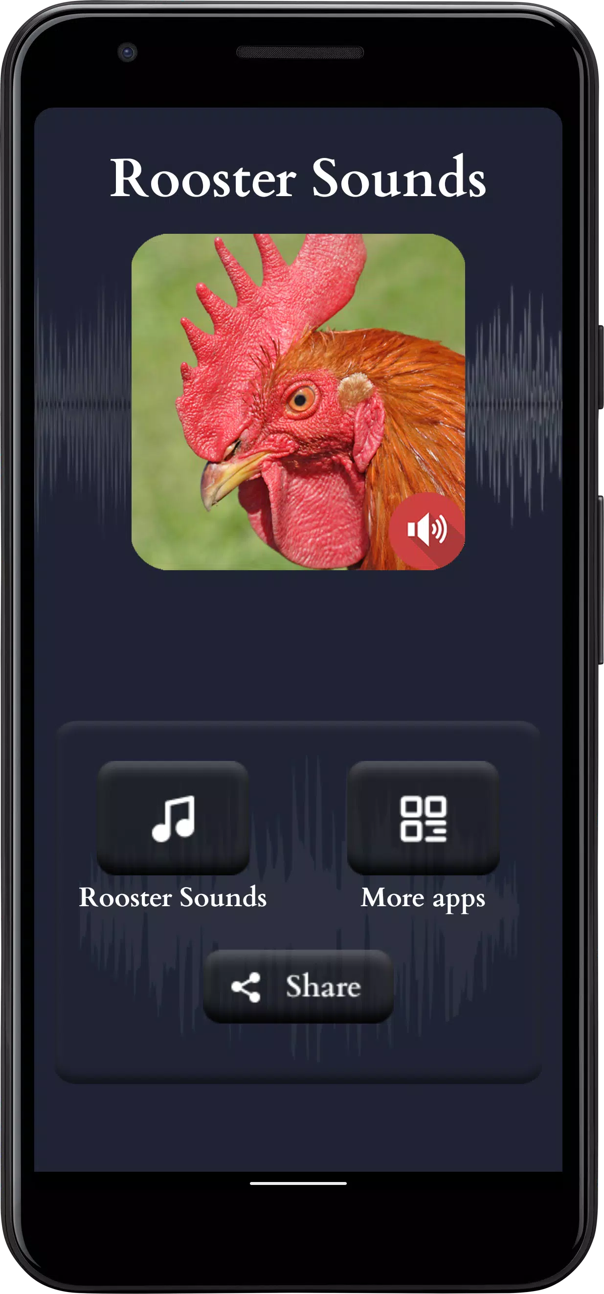Rooster Sounds Screenshots