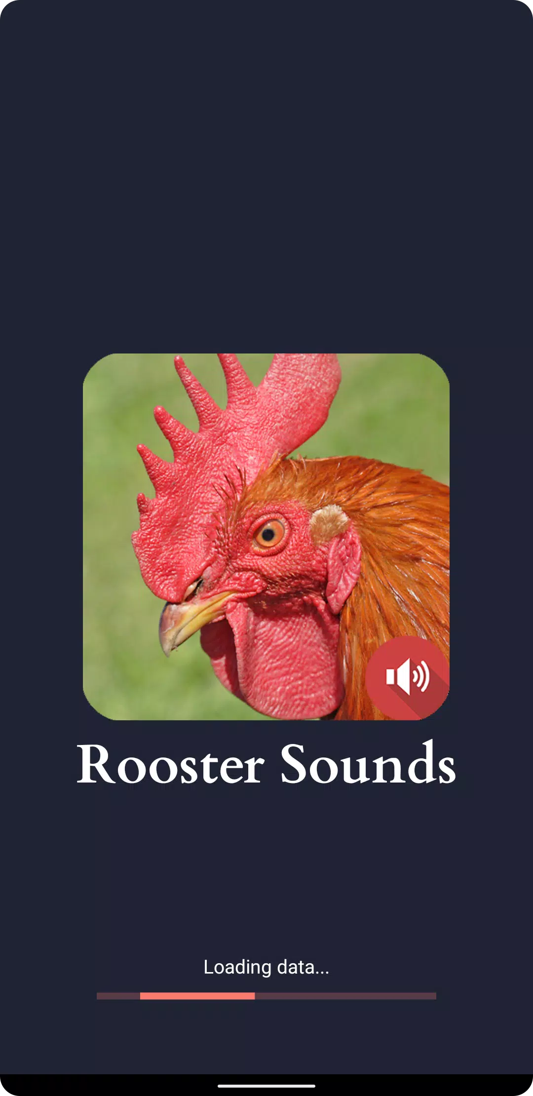 Rooster Sounds Screenshots
