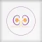 ABIRAMI KIDNEY CARE,ERODE