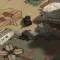 AR Tank Battle