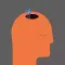 IQ Test