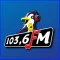 Pinguin FM