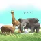 Animal Cross