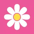 Alegra Daisy Chain