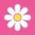 Alegra Daisy Chain