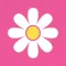 Alegra Daisy Chain