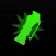 GO NADE