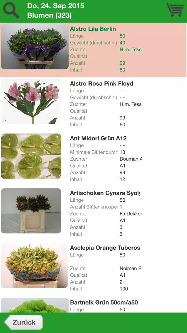 Willeke Blumen Screenshots