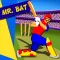 Mr. Bat